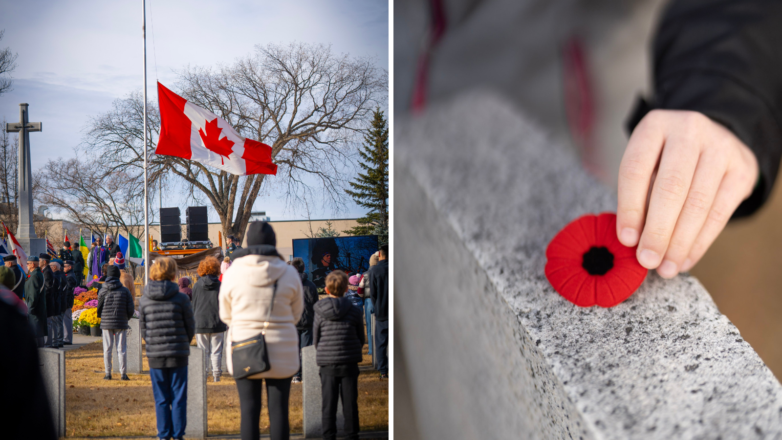 Ceremony images from No Stone, a student placing a poppy on a gravestone.