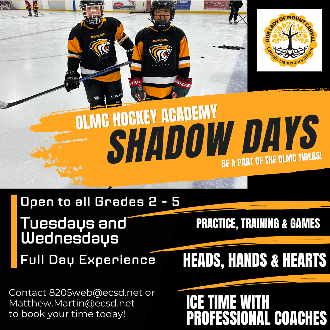 Shadow Day Posts 1 3 